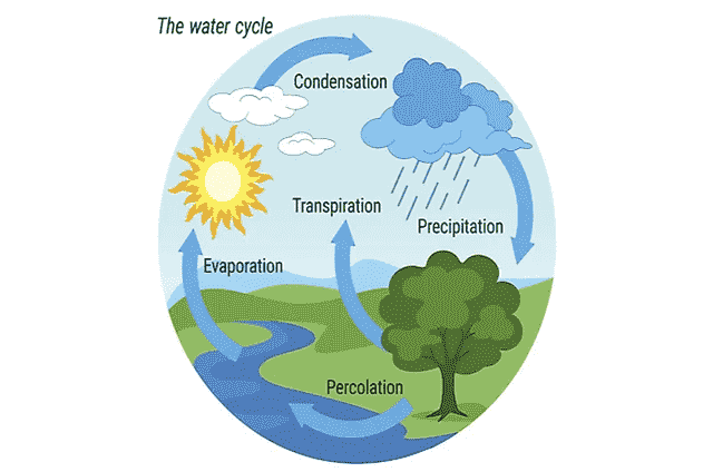 Water cycle